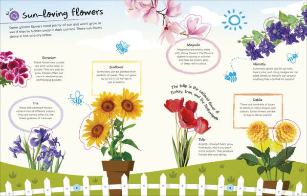 Ultimate Sticker Book Garden Flowers: New Edition with More than 250 Stickers