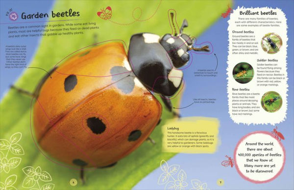 Ultimate Sticker Book Garden Bugs: New Edition with More than 250 Stickers