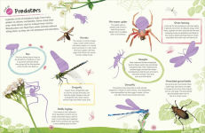 Alternative view 8 of Ultimate Sticker Book Garden Bugs: New Edition with More than 250 Stickers