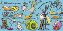 Alternative view 3 of Every One Is Special: Cats