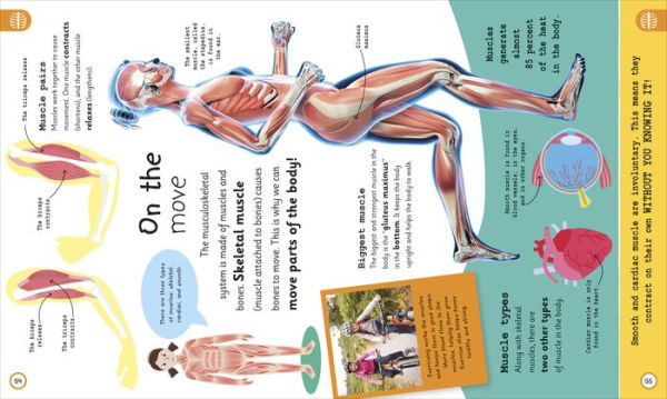 My Very Important Human Body Encyclopedia: For Little Learners Who Want to Know About Their Bodies