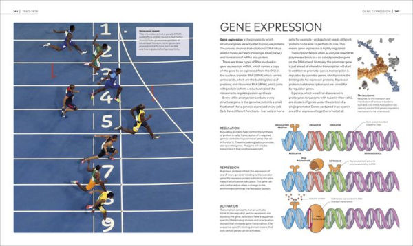 Timelines of Science