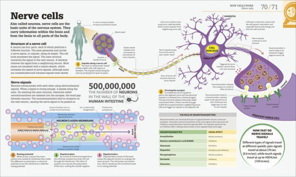 How Biology Works