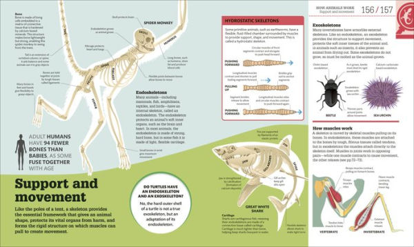 How Biology Works