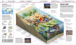 Alternative view 7 of Knowledge Encyclopedia: The World as You've Never Seen it Before