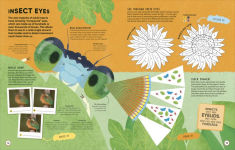 Alternative view 6 of Brain Booster Bugs: Over 100 Brain-Boosting Activities that Make Learning Easy and Fun