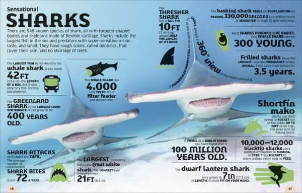 Our World Numbers Animals: An Encyclopedia of Fantastic Facts