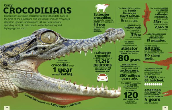 Our World Numbers Animals: An Encyclopedia of Fantastic Facts