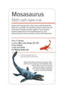 Alternative view 2 of Our World in Pictures Dinosaurs and Other Prehistoric Creatures Flash Cards