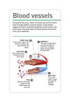 Alternative view 4 of Our World in Pictures Human Body Flash Cards