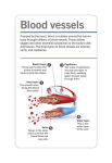 Alternative view 10 of Our World in Pictures Human Body Flash Cards