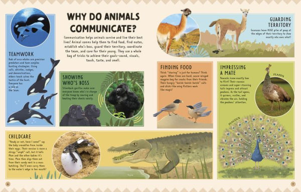 Animal Talk: All the Incredible Ways that Animals Communicate