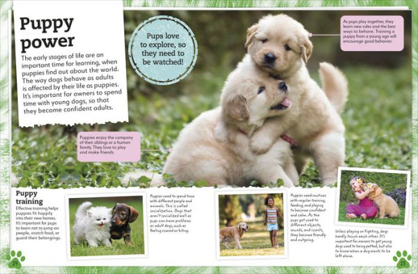 My Book of Dogs and Puppies: A Fact-Filled Guide to Your Canine Friends