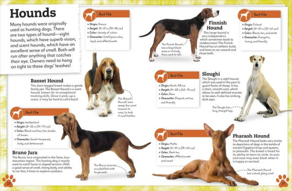 My Book of Dogs and Puppies: A Fact-Filled Guide to Your Canine Friends