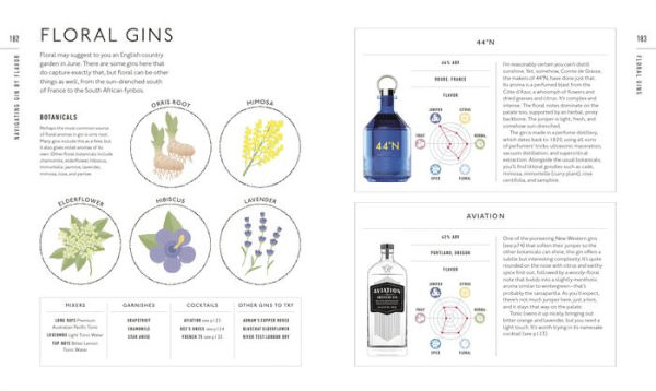 Gin A Tasting Course: A Flavor-focused Approach to the World of Gin