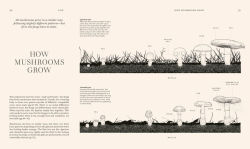 Alternative view 3 of Fungi: Discover the Science and Secrets Behind the World of Mushrooms