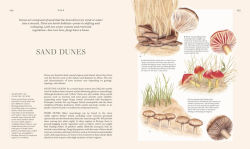 Alternative view 4 of Fungi: Discover the Science and Secrets Behind the World of Mushrooms