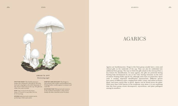 Fungi: Discover the Science and Secrets Behind the World of Mushrooms