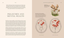 Alternative view 7 of Fungi: Discover the Science and Secrets Behind the World of Mushrooms