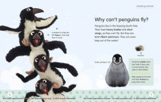 Alternative view 4 of Sesame Street Elmo Asks Why?: A First Encyclopedia for Growing Minds