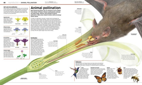 Knowledge Encyclopedia Plants and Fungi!: Our Growing World as You've Never Seen It Before