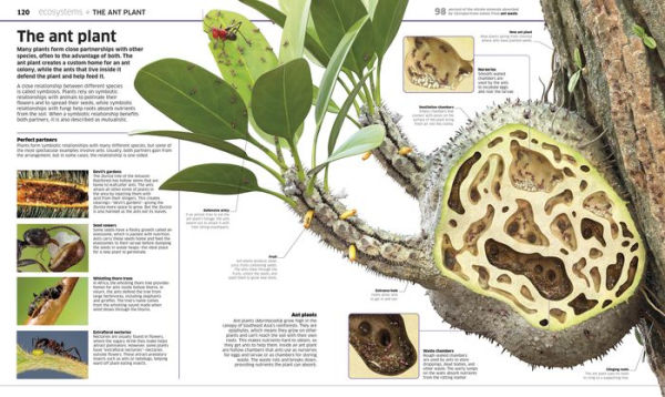 Knowledge Encyclopedia Plants and Fungi