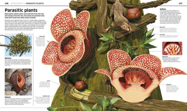 Knowledge Encyclopedia Plants and Fungi