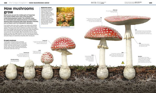 Knowledge Encyclopedia Plants and Fungi!: Our Growing World as You've Never Seen It Before