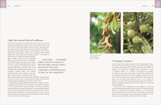 Alternative view 11 of Mitahara: Food Wisdom From My Indian Kitchen