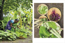 Alternative view 8 of Mitahara: Food Wisdom From My Indian Kitchen