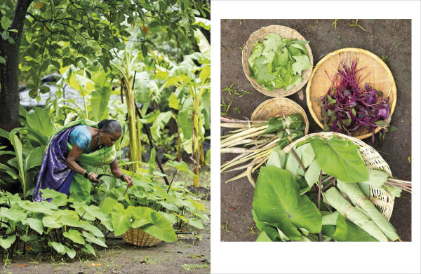 Mitahara: Food Wisdom From My Indian Kitchen