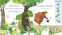 Alternative view 2 of Jonny Lambert's Bear and Bird: Find a Footprint: A Woodland Search and Find Adventure