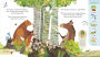 Alternative view 3 of Jonny Lambert's Bear and Bird: Find a Footprint: A Woodland Search and Find Adventure