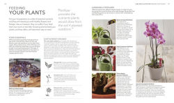 Alternative view 7 of Houseplant: Practical Advice for All Houseplants, Cacti, and Succulents