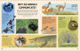 Alternative view 2 of Animal Talk: All the Incredible Ways that Animals Communicate