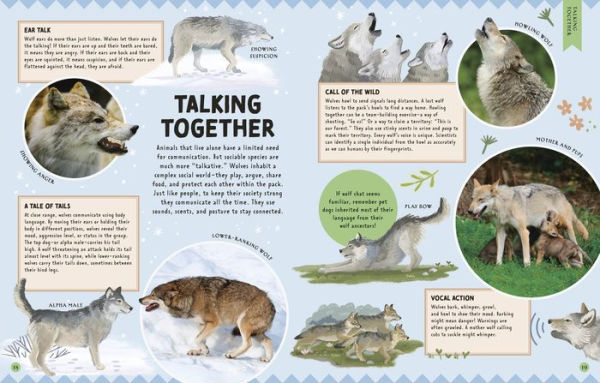 Animal Talk: All the Incredible Ways that Animals Communicate