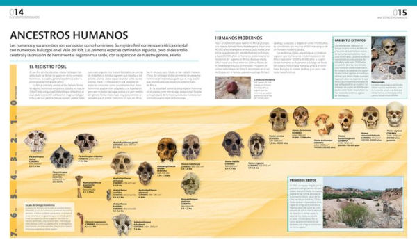 El gran libro del cuerpo humano (The Complete Human Body)