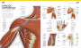 Alternative view 5 of El gran libro del cuerpo humano (The Complete Human Body)