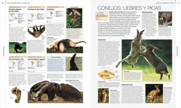 Animal (Spanish edition): La guía visual definitiva