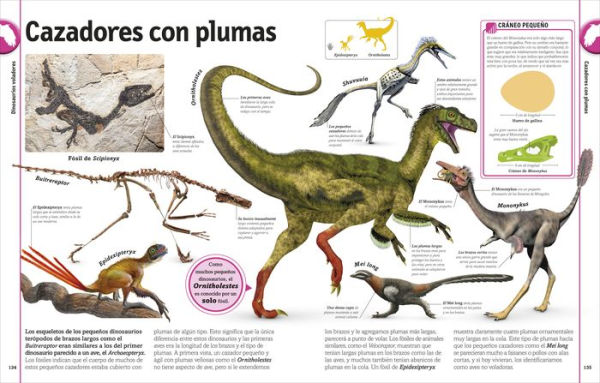 El libro de los dinosaurios (The Dinosaur Book)