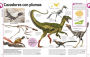Alternative view 6 of El libro de los dinosaurios (The Dinosaur Book)