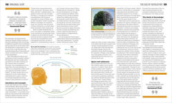 Alternative view 16 of The Philosophy Book