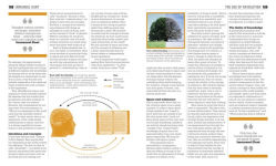 Alternative view 30 of The Philosophy Book