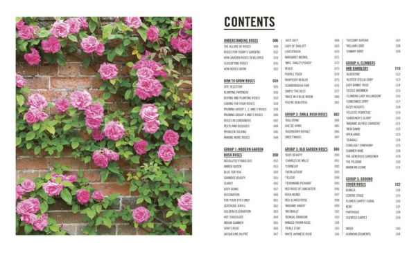 Grow Roses: Essential Know-how and Expert Advice for Gardening Success