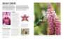 Alternative view 11 of Grow Orchids: Essential Know-how and Expert Advice for Gardening Success