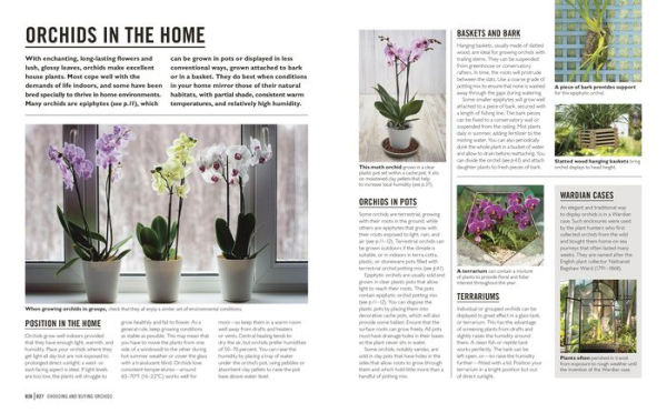 Grow Orchids: Essential Know-how and Expert Advice for Gardening Success