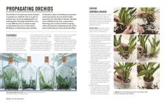 Alternative view 13 of Grow Orchids: Essential Know-how and Expert Advice for Gardening Success