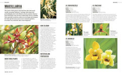 Alternative view 15 of Grow Orchids: Essential Know-how and Expert Advice for Gardening Success