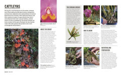 Alternative view 3 of Grow Orchids: Essential Know-how and Expert Advice for Gardening Success