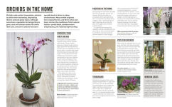 Alternative view 6 of Grow Orchids: Essential Know-how and Expert Advice for Gardening Success